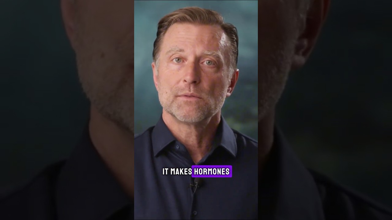 The #1 BEST Food for Your Liver (Most People Throw It Away!)