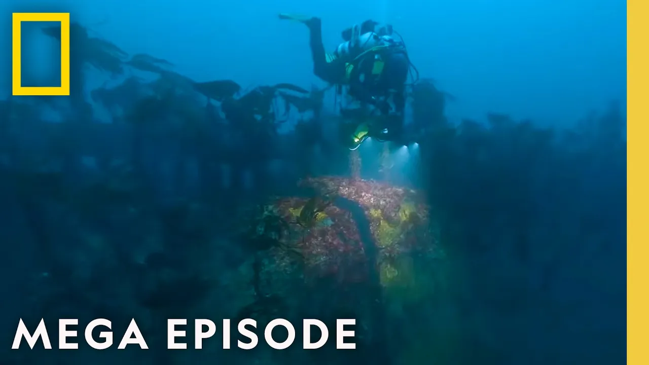 Drain the Oceans MEGA Episode | Secrets, Lost Giants, & Pearl Harbor | National Geographic